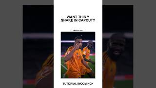 Y Shake Tutorial CapCut