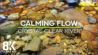 Gentle Sounds of a Water Stream for Deep Sleep & Relax - Clear Mountain River in 8K