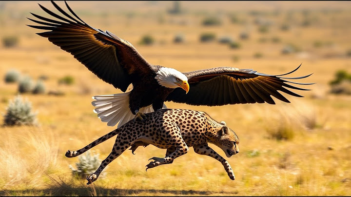 Bald Eagle Hunts Cheetah: Ultimate Wildlife Encounter in 4K UHD 🦅🌍 (AI Documentary 2025) #wildlife