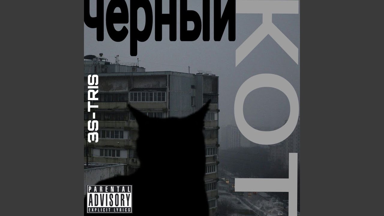 Чёрный кот - YouTube
