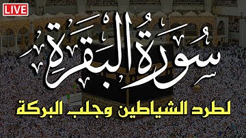 سورة البقرة كاملة لحفظ وتحصين المنزل وطرد الشياطين تلاوة عذبة رائعة للقارئ ماجد الزامل Sourah Baqara