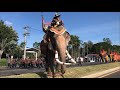 งาอลังการ!! พลายหนุ่มเสก elephant big ivory thailand ep134 *-*
