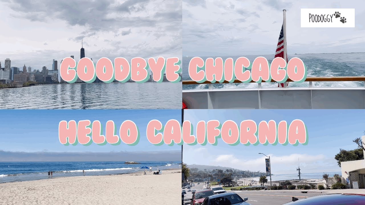 미국일상 Vlog] 타주이사, 시카고투어, 보트투어, Chicago Boat tour, Moving day, 캘리포니아, 시카고브이로그, 라구나비치