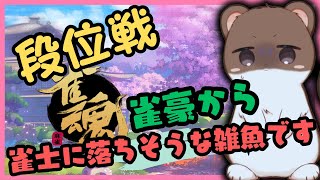 雀１への降段戦＾＾