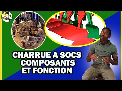 Vidéo: Charrue à Faire Soi-même Pour Tracteur à Conducteur Marchant: Dimensions Et Dessins De Charrues Faites Maison. Comment Faire Des Charrues Réversibles Et Rotatives ? Caractéristique