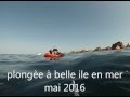 plongèe Belle Ile en Mer mai 2016