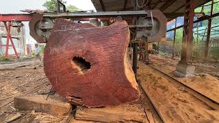 The giant wood factory operates at full capacity, the wood is 7000 years old p4