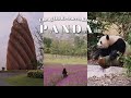 Chengdu Panda Base Travel Vlog 🐼 | Gentle Encounters with Giant & Red Pandas