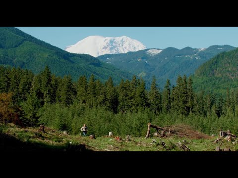 Видео: Трябва ли да стана заместник-шериф?