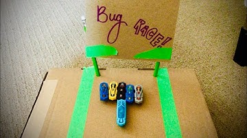 Ultimate Hex Bugs Race!