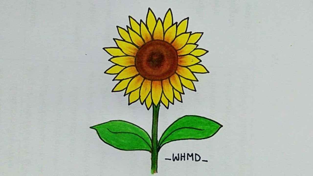 วาดรูปดอกทานตะวัน How to draw a sunflower 🌻