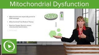 Mitochondrial Dysfunction and Telomere Attrition – Aging | Lecturio