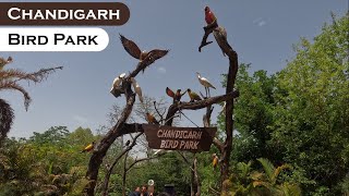 Bird Park Chandigarh | Top Famous Place in Chandigarh