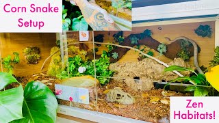 Corn Snake Enclosure Upgrade into Zen Habitats!