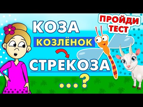 Интересный Тест ! Справишься Тесты Бабушки Шошо