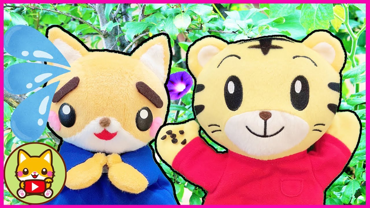 しまじろうの わらしべちょうじゃ☆ハロウィンバージョン☆とりっぴぃ