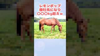 うおっ…#レモンポップ #競馬 #競馬反応集 #Shorts