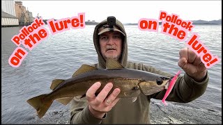 Lure fishing for beginners some small tips and tricks. Hope it helps