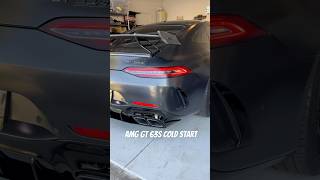 Mercedes Benz AMG GT 63S Cold Start Exhaust Sound screenshot 4