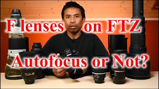 Nikon Z camera + FTZ adapter & F mount lenses compatibility