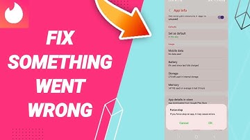 How To Fix Something Went Wrong On Tinder App