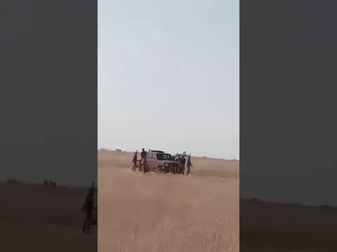 جوة خالص الكاشو لاشو اشترك بل بس كلجديد اكسبلور   السعوديه