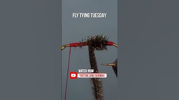 Red Ass Soft Hackle | Fly Tying Shorts | #flytying #FlyFishing #FlyTyingTutorial