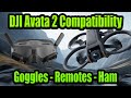 DJI Avata 2 FPV Goggles &amp; Remote Compatibility Explained - Goggles 2 - FPV Remote 2 -  Ham Hack