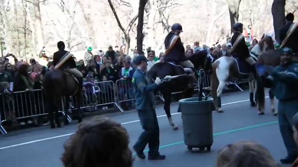 David Merry Comedy Short "Odd Occupations"