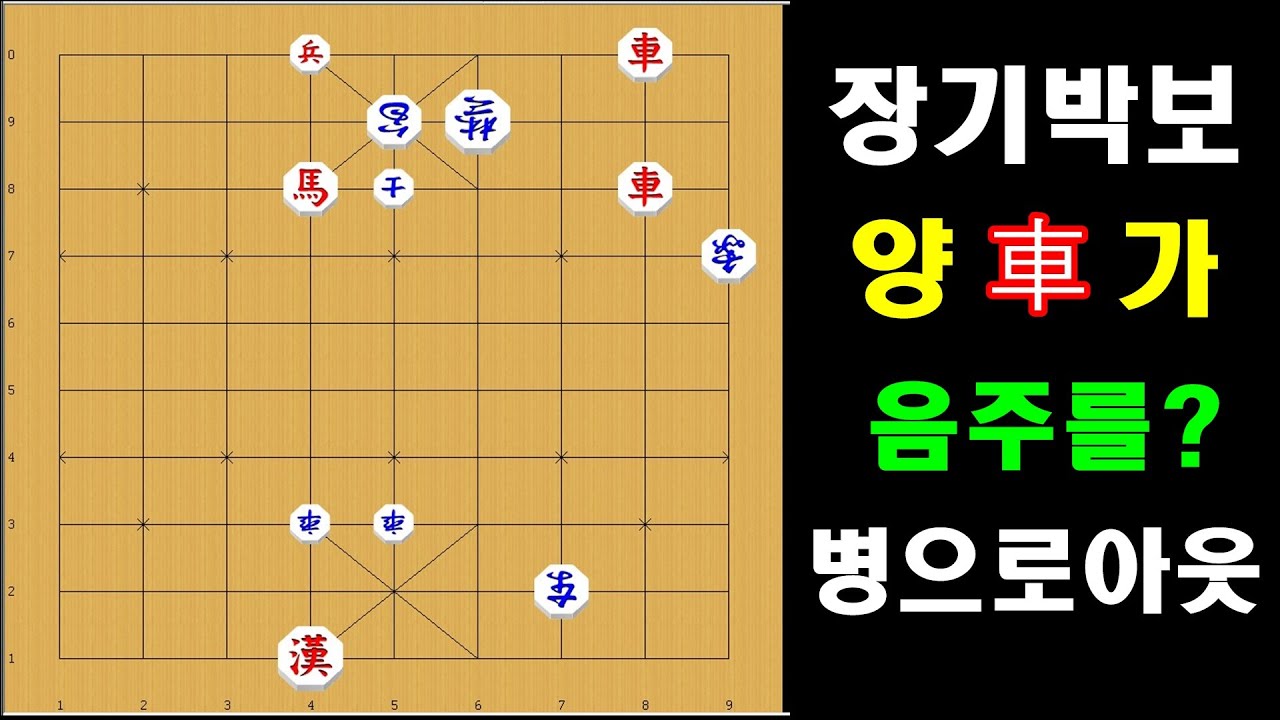 차두대를 이리 심하게 몰아도 되나요 ? 장기박보