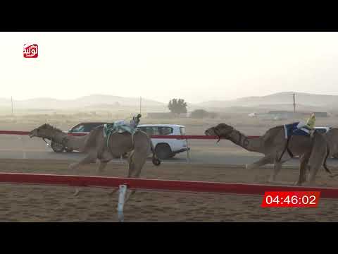 ش 5 جواهر ل سعادة فرج علي حموده الظاهري 7 45 شارة الديوان 2025 12 27 الساد لقايا