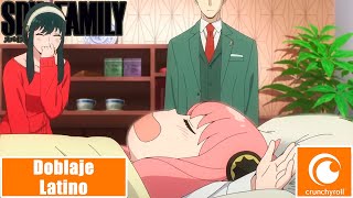 Spy x Family Final | Doblaje Latino | 1080p HD