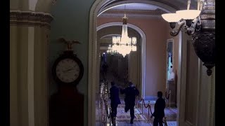 New video shows Capitol Police officer Goodman directing Romney to safety