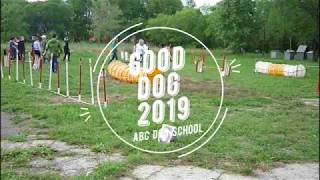 Good Dog 2019