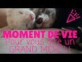 Moment de vie merci  vous   les furets malins