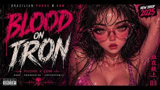 BLOOD ON IRON 🔥 Brazilian Phonk x EDM | Dark Aesthetic Phonk 2026