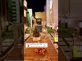 يا نور الهلال وأقبل تعال فالشوق طال و القلب سما نحو السما مترنما يا نور الهلال وأقبل تعال فالشوق طال و القلب سما نحو السما مترنما