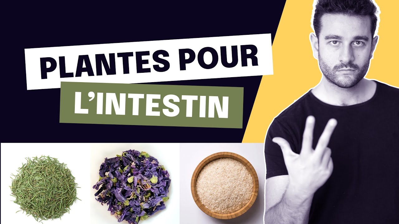 Intestins : 3 plantes pour en prendre soin - YouTube