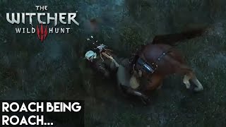 Witcher 3: Wild Hunt - Roach Likes to Slide on his Face Glitch