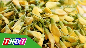 Điên điển đầu mùa nước hút hàng, giá bán cao | THDT