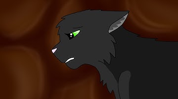 Warrior Cats MAP - Somewhere only we know - Part 21