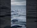 What If The Ocean Froze Overnight? ❄️🌊#WhatIf #OceanFacts #ScienceMystery #YouTubeShorts #Shorts