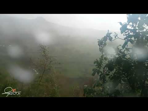 شيلة خربتها