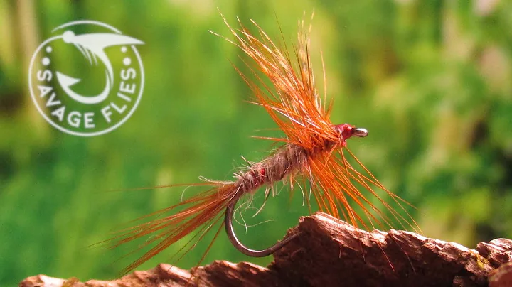Fly Tying the Bradley Special (Catskill Style Dry ...