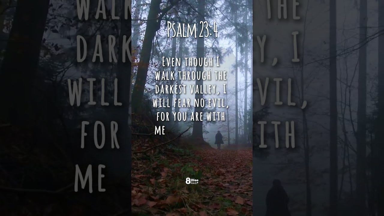 You Will Never Be Afraid After Watch This Psalm 23 4 Psalms Bibleverses Fearless