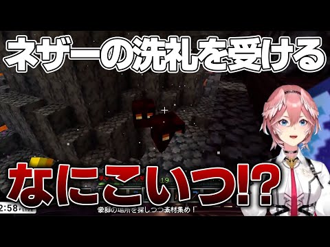 マグマキューブにビビりまくるルイ姉ところさん【ホロライブ切り抜き/鷹嶺ルイ/戌神ころね】