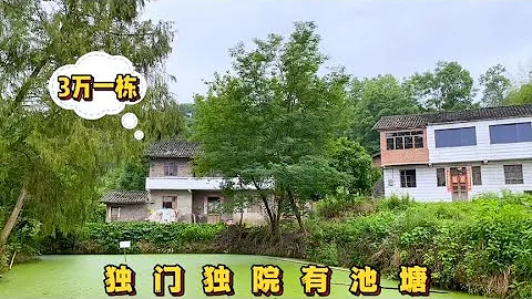 乡村两层小楼，只要3万一栋，独门独院有池塘，你愿意来居住吗？ - 天天要闻