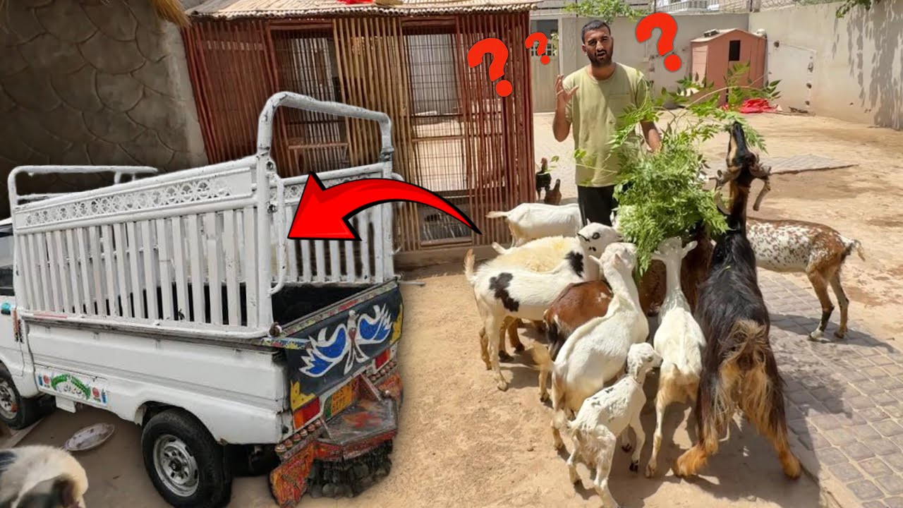 Kia in Sab Ko Village Bhej Den? Need Your Suggestions