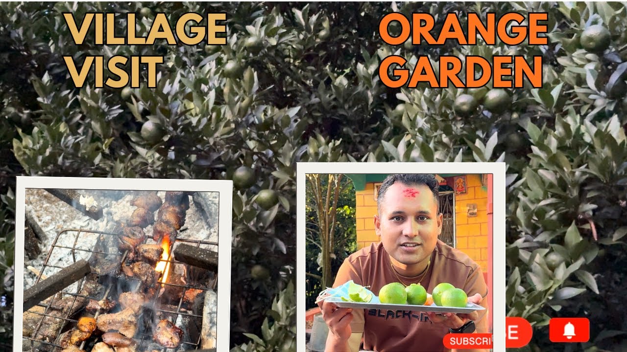 Visiting the village and orange garden during dashain❤️#subscribe #nature #village #vlog #nepal #fyp