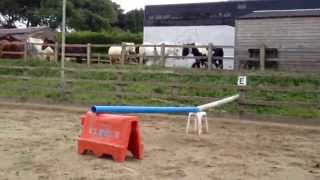 Pairs jump! With Leah and Sherlock! X